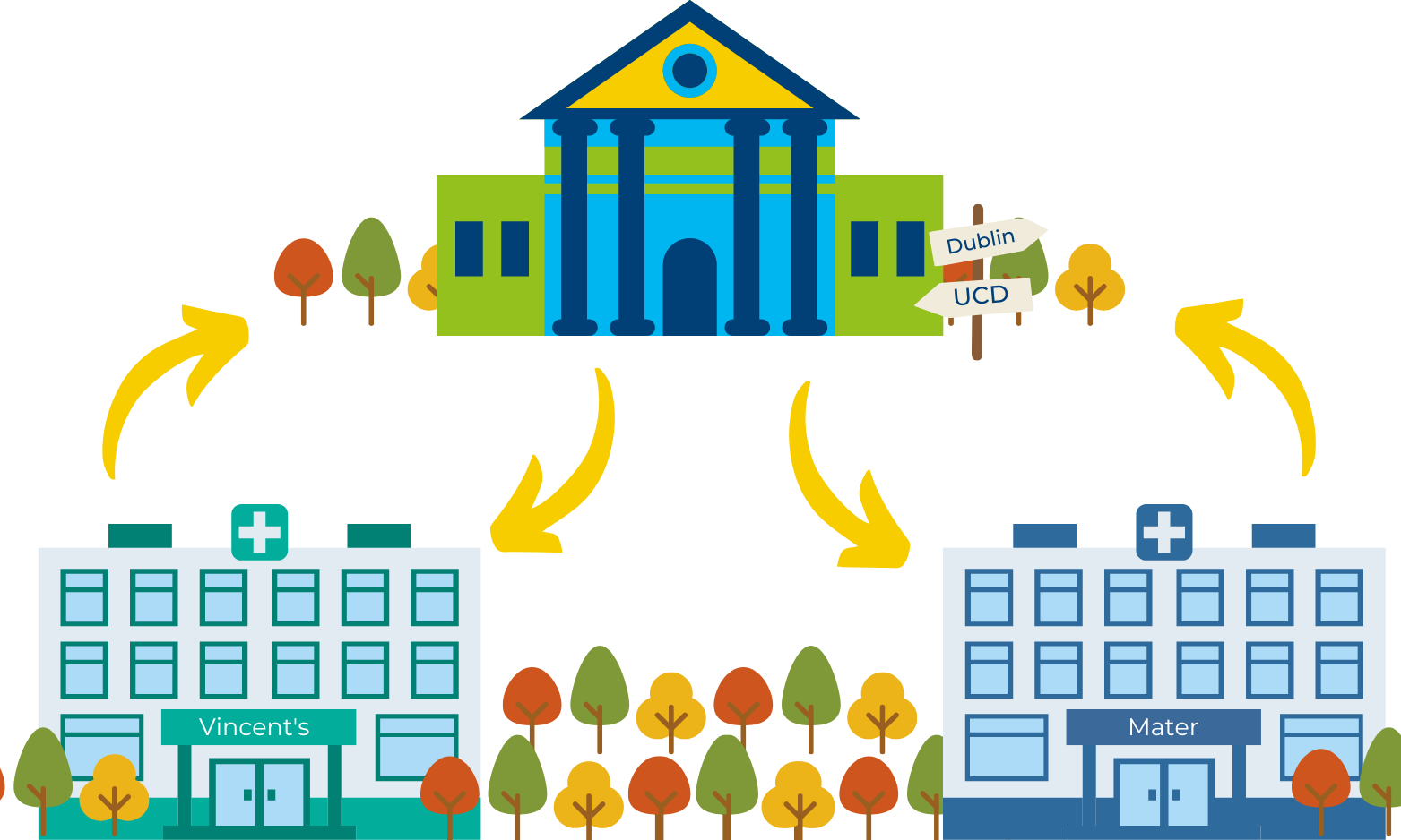 Graphic of UCD, Vincent's hospital, and the mater hosptial, surrounded by trees with arrows connecting the sites